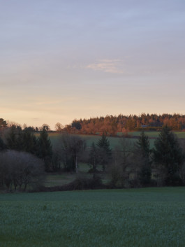 Aglaé Bory